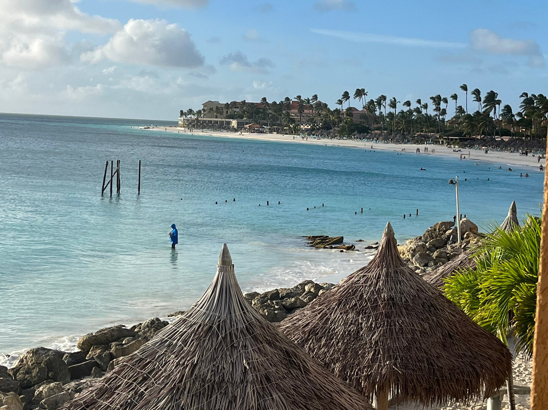 Tamarijn Aruba All Inclusive主图