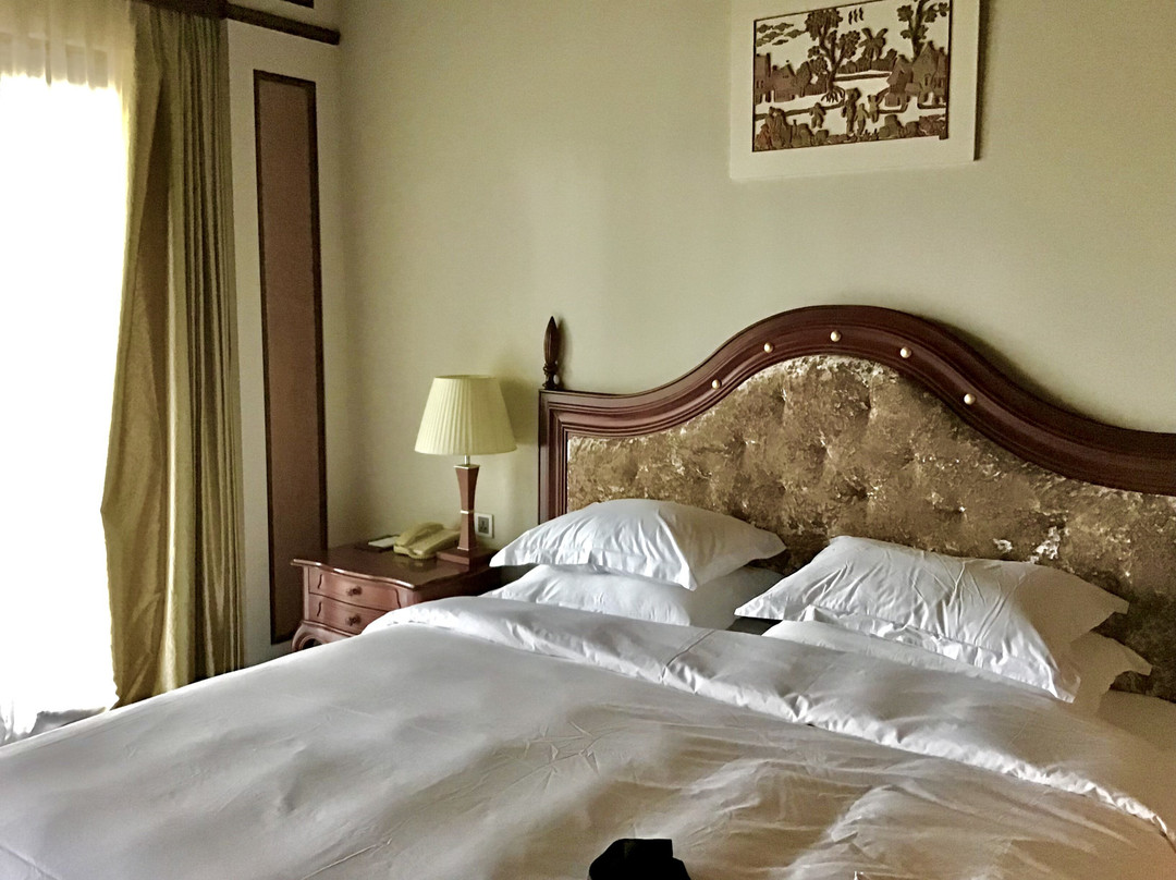 芽庄市文皮尔豪华酒店主图