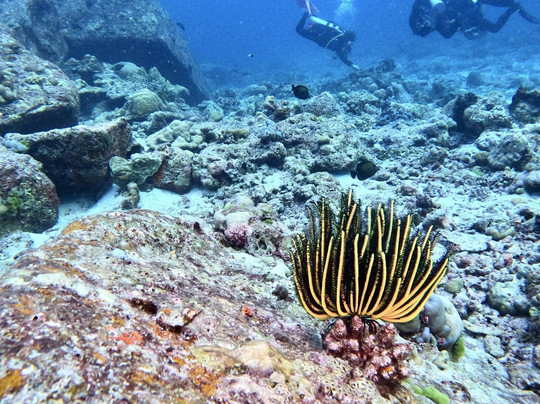 Go2Similan-库克卡克海滩必去景点