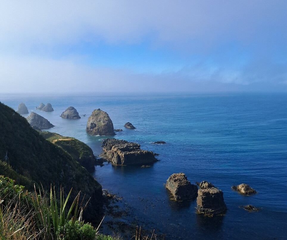 Catlins Tours景点图片