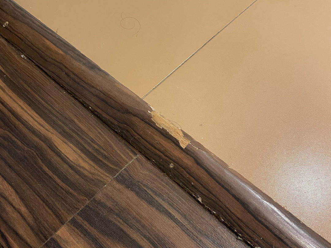 Hotel Balneario de Lanjaron主图