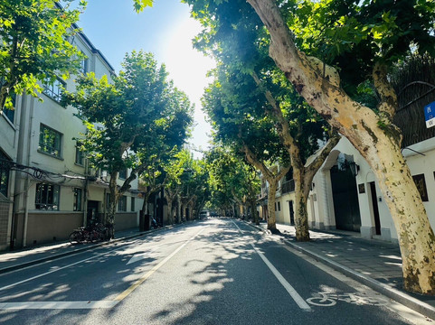 武康路-上海市必去景点