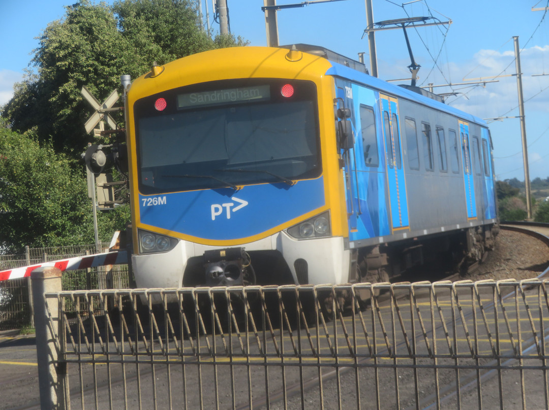 Green Point-布莱顿必去景点