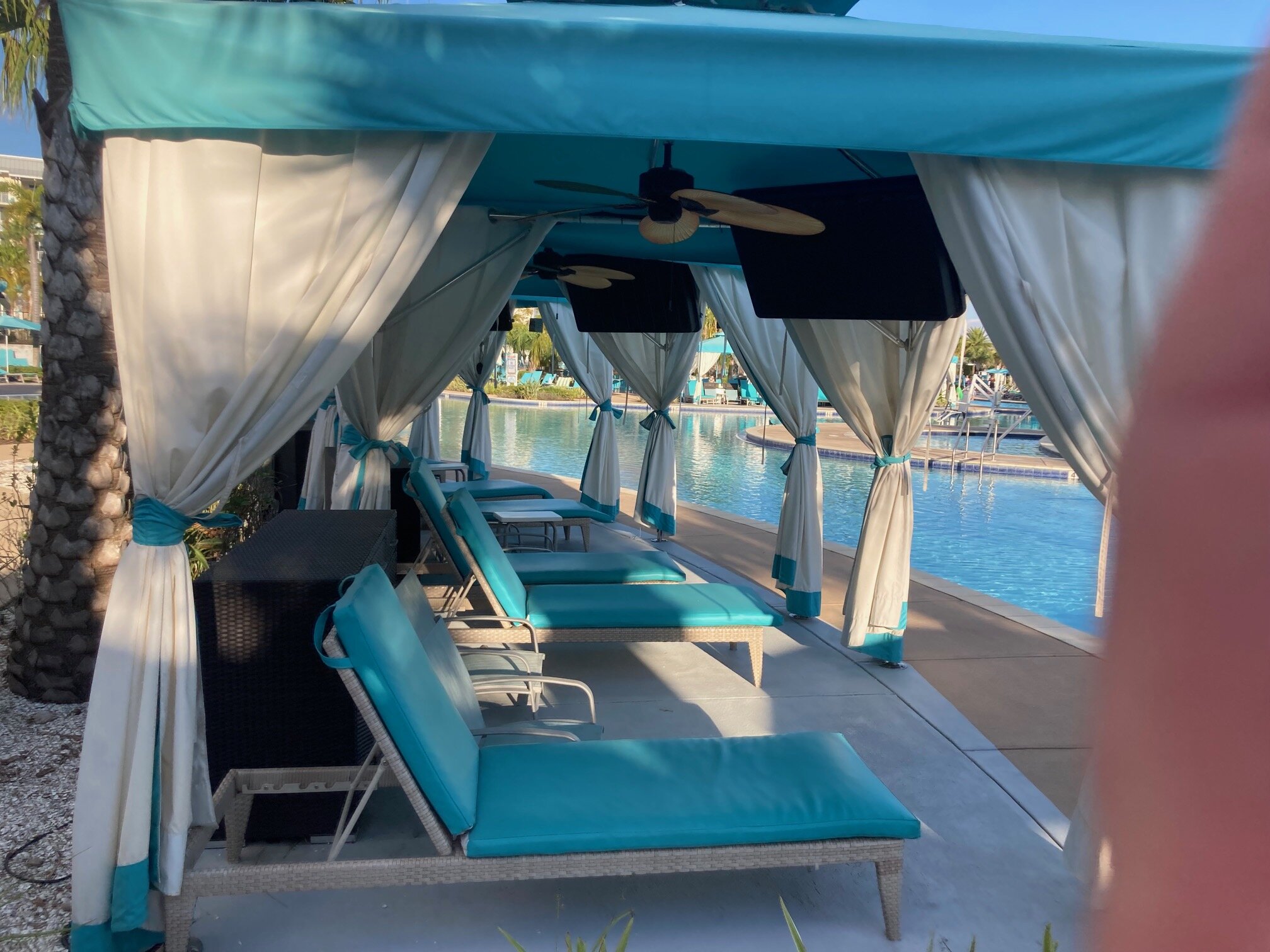 Margaritaville Resort Orlando-泳池