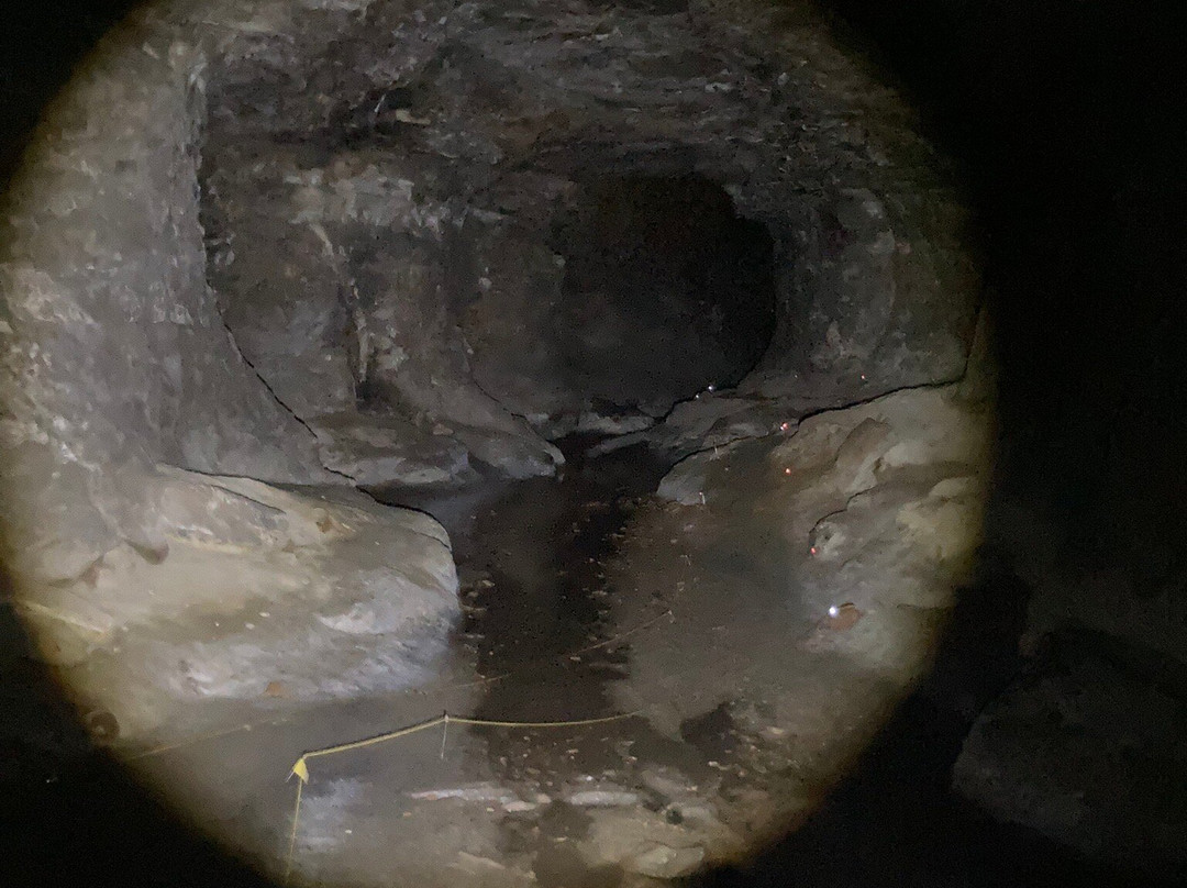 Pico do Piao-Lima Duarte必去景点