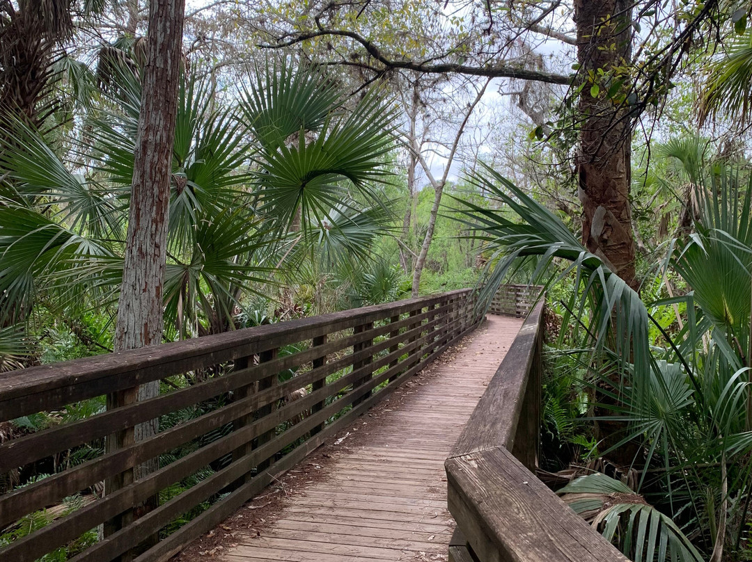 Frenchman's Forest Natural Area-棕榈滩花园必去景点