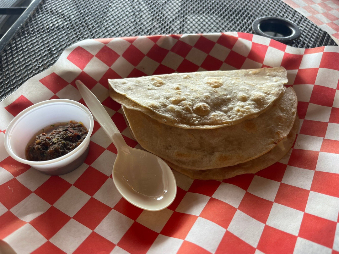 Amigos Activities-卡波圣卢卡斯必去景点