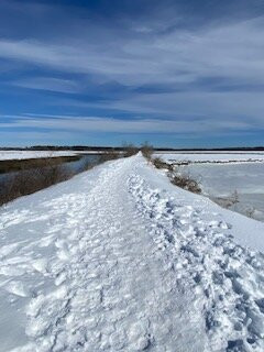 Scarboro Marshes-斯卡伯勒必去景点