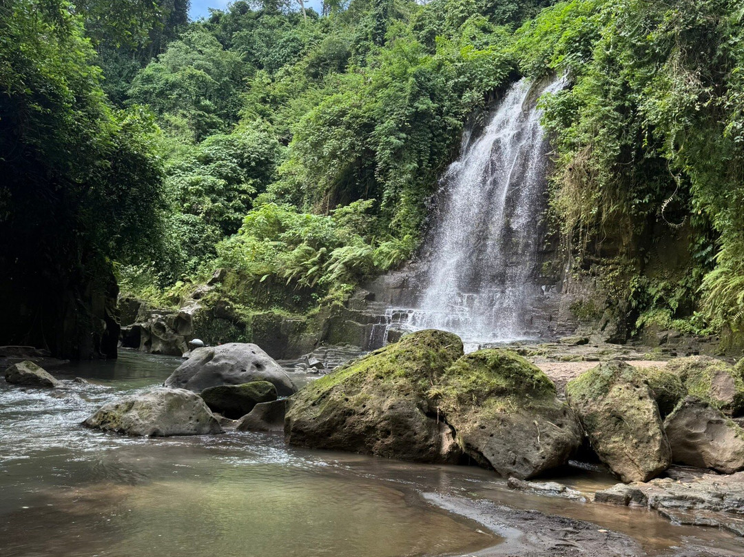 Temesi Waterfall-吉安雅必去景点