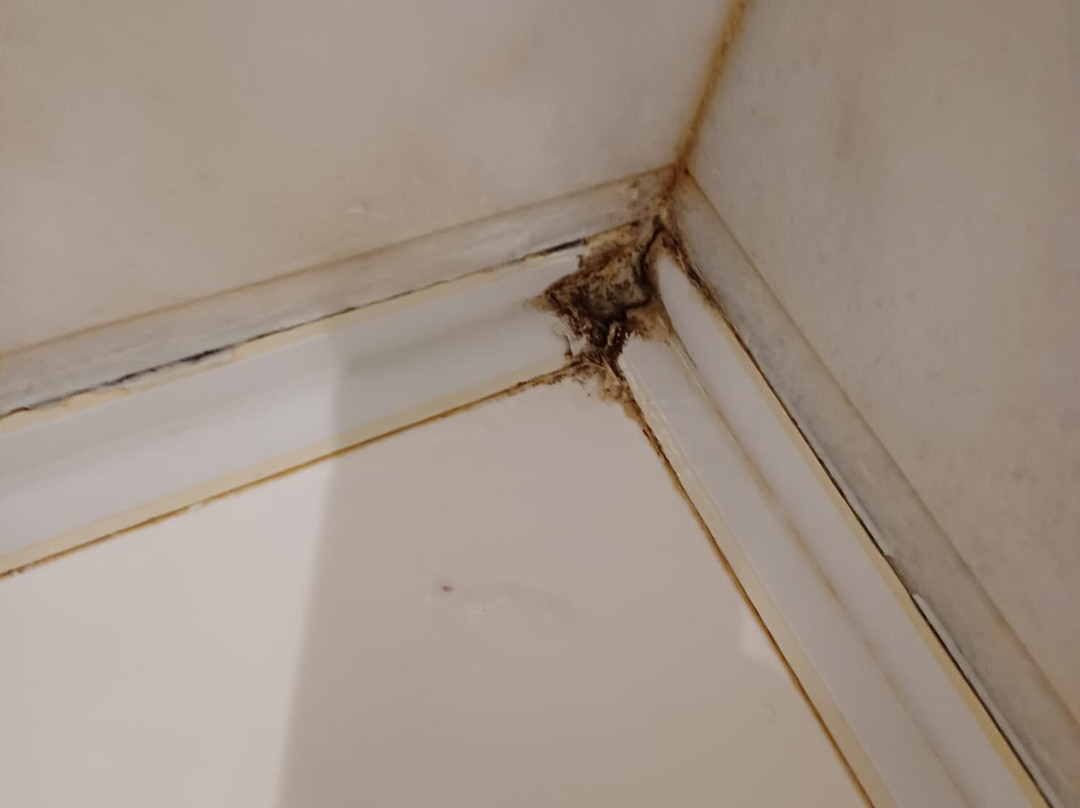 普林希皮卡塔尼亚二世酒店主图