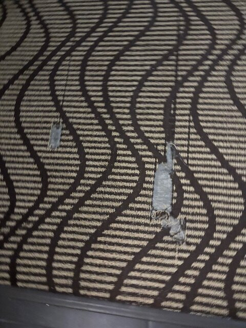 La Quinta Inn & Suites by Wyndham Richmond-Midlothian主图