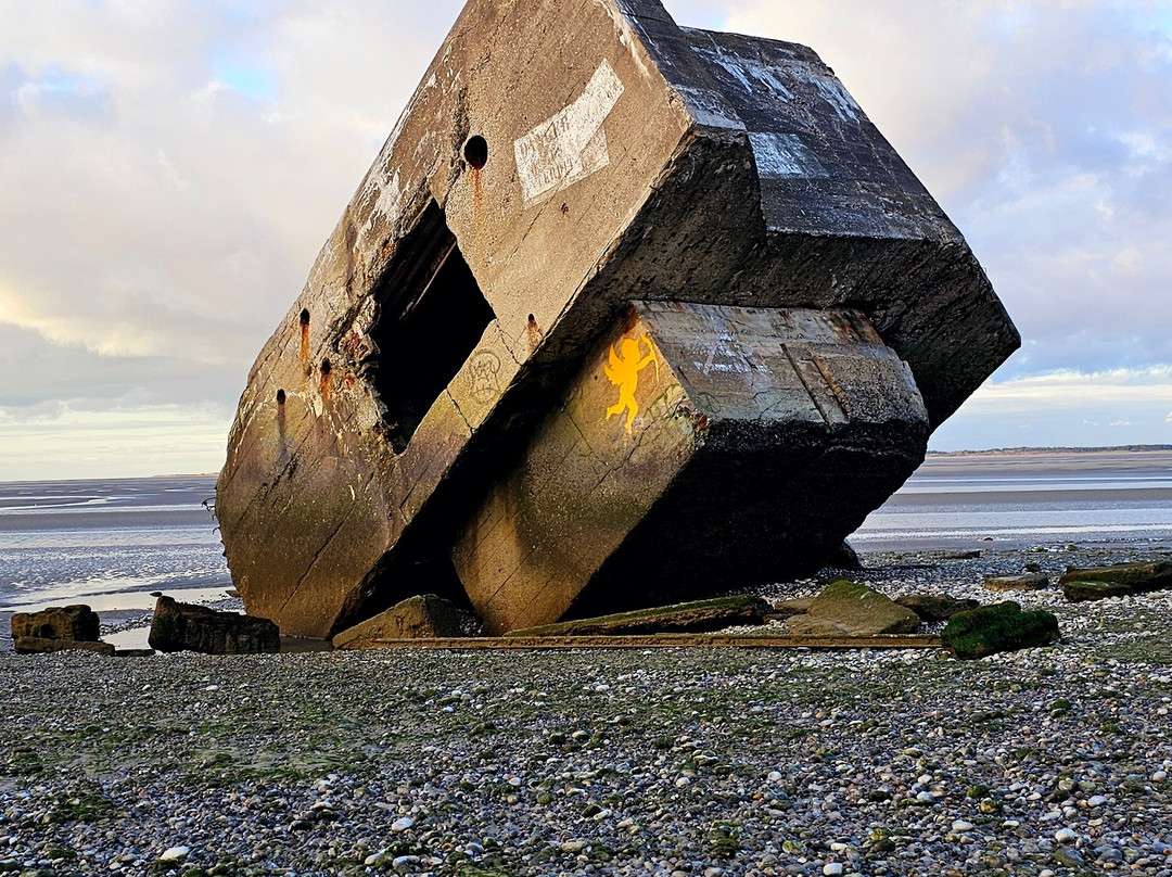 Decouvrons la Baie de Somme Day Tours景点图片