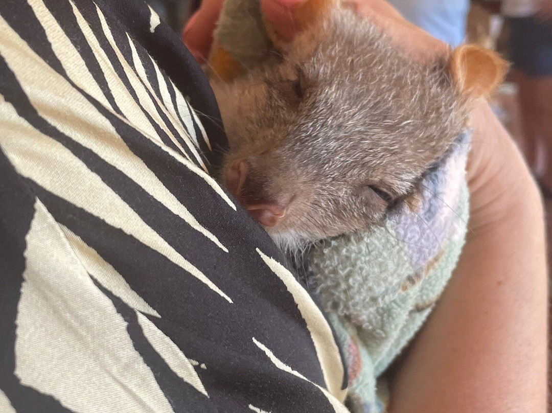 Aussie Ark景点图片