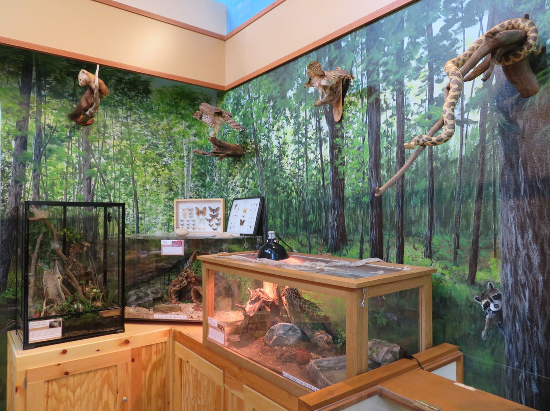 North Lakeland Discovery Center景点图片