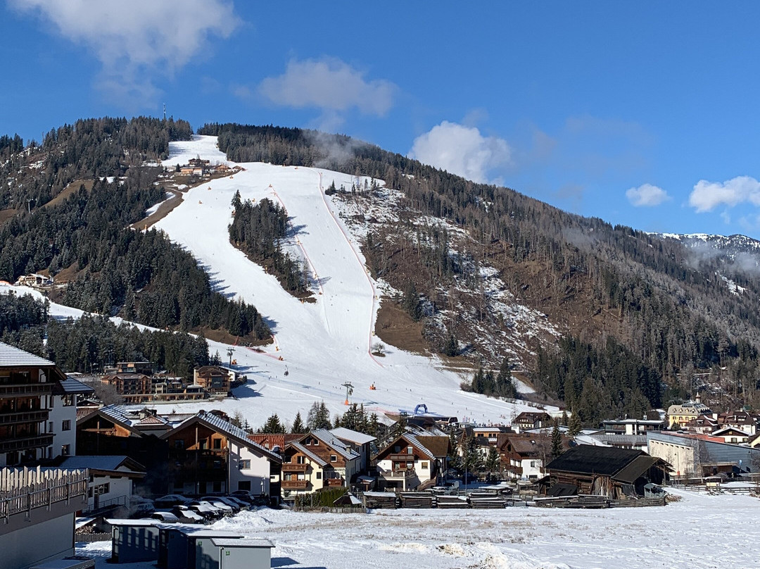 Hotel Mareo Dolomites主图
