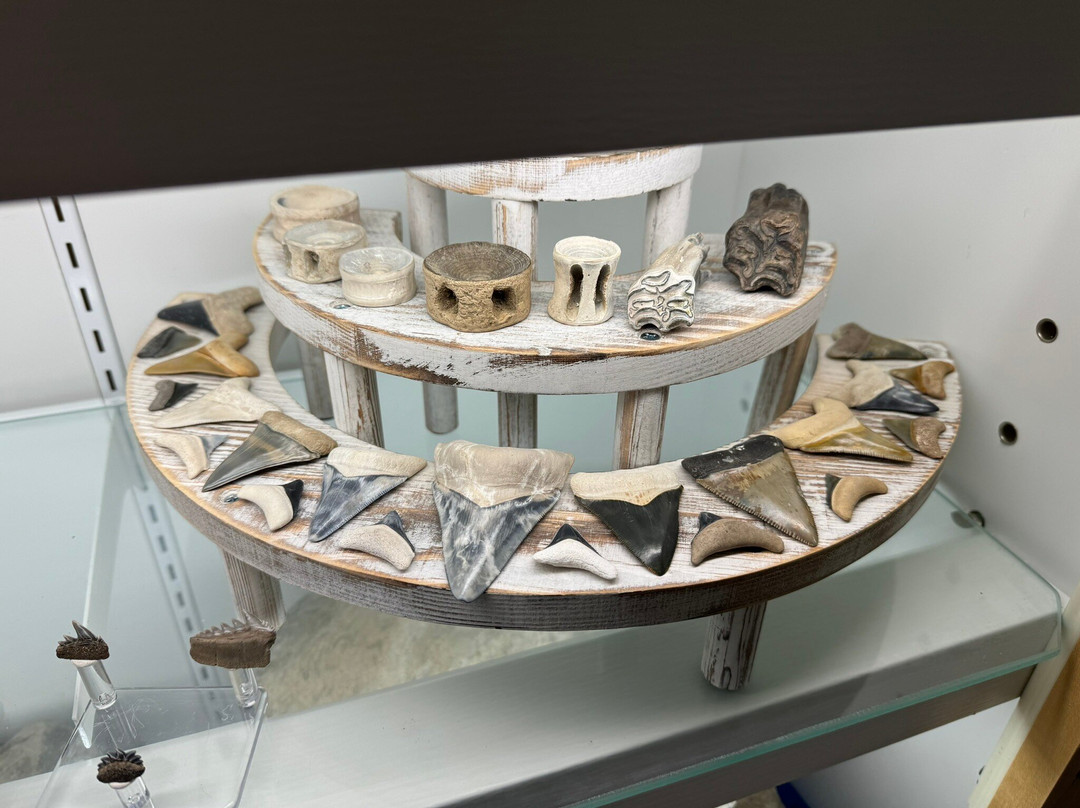 Mineral & Lapidary Museum景点图片