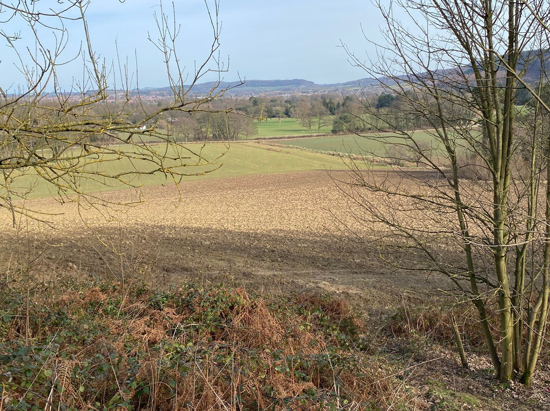 Guisborough Forest景点图片