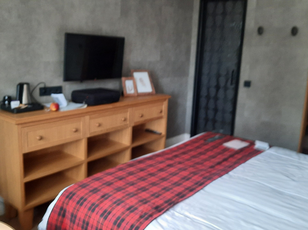 Badhotel Rockanje & Brasserie Lodgers主图