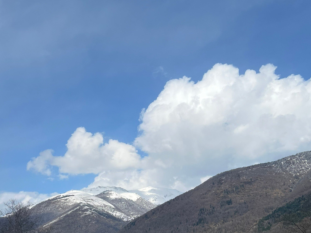Thermes de Luchon景点图片
