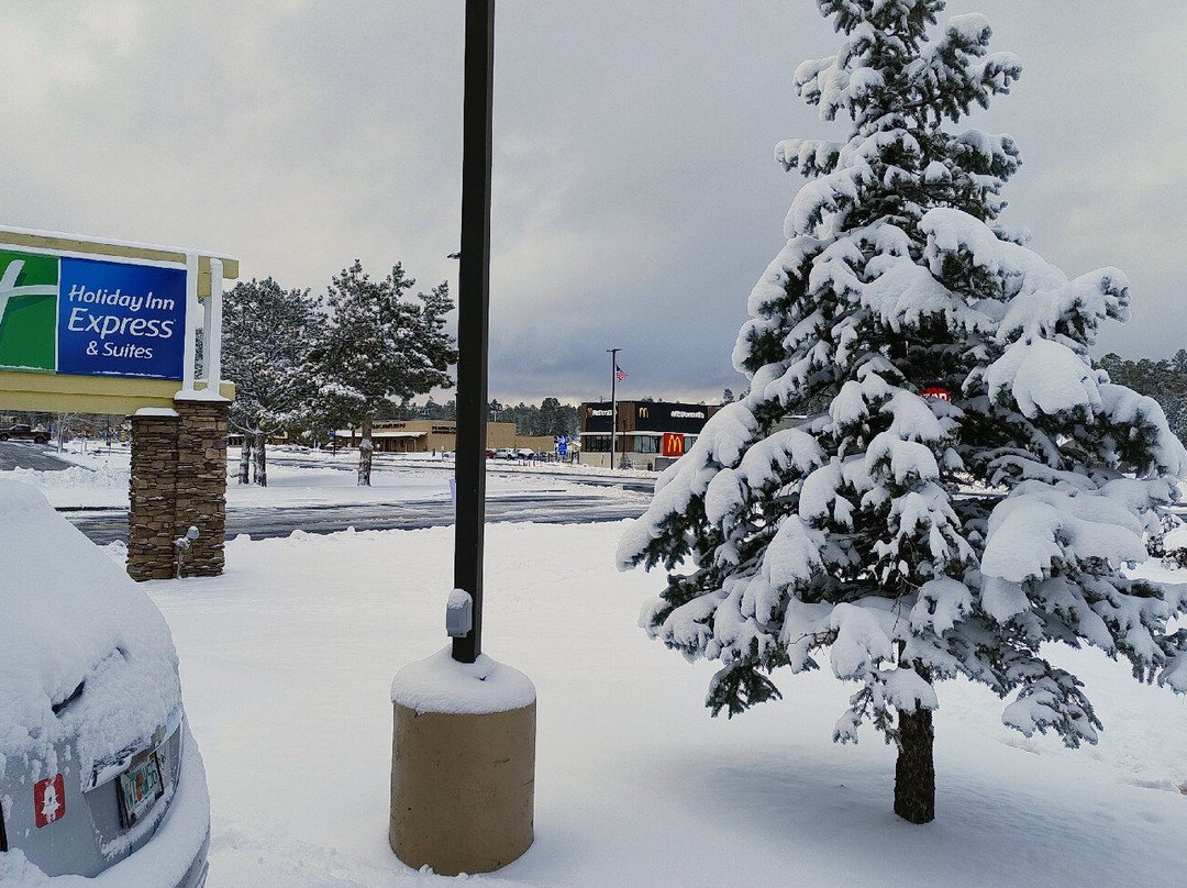 大峡谷智选假日套房酒店主图