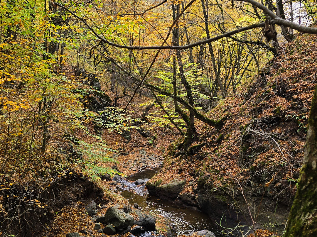 Ecokayan Dilijan Resort Hotel主图