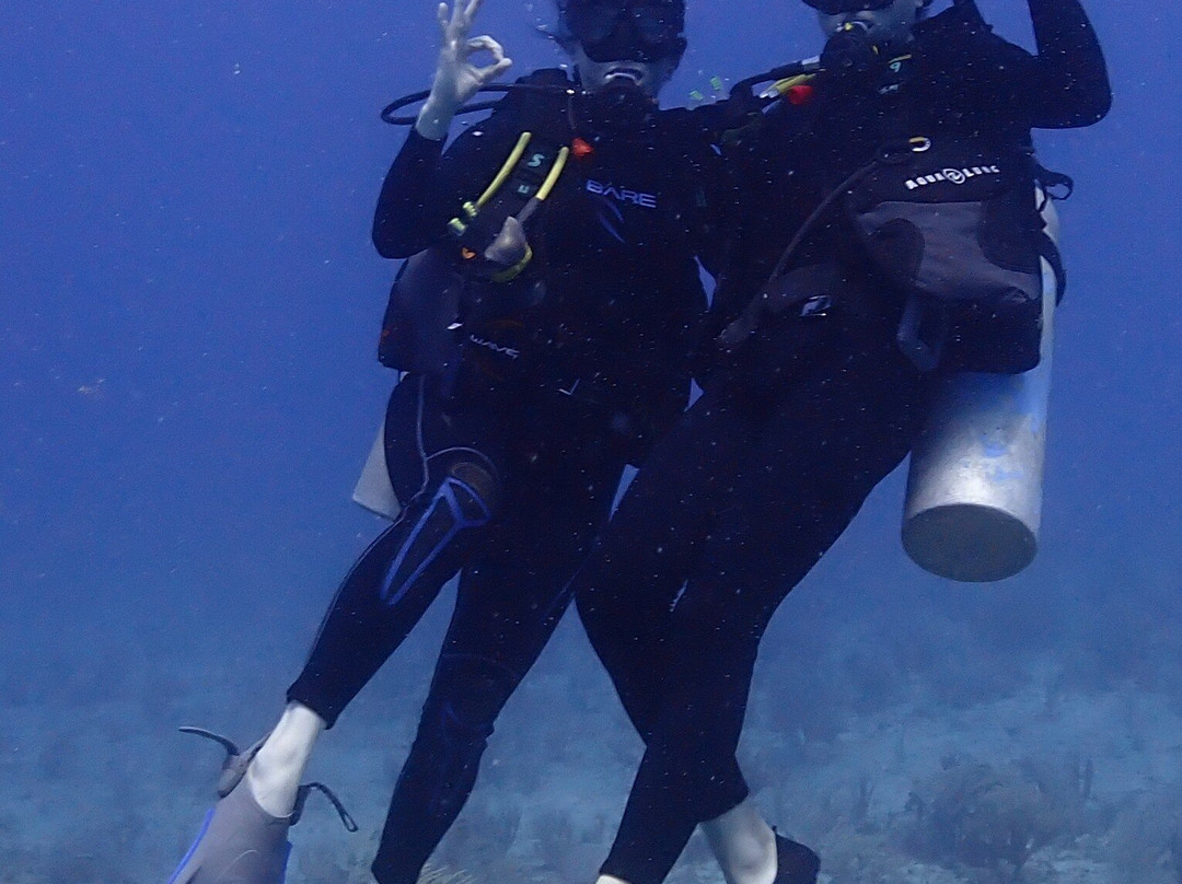 Aquanauts Dive Adventures-从莫雷洛斯港必去景点