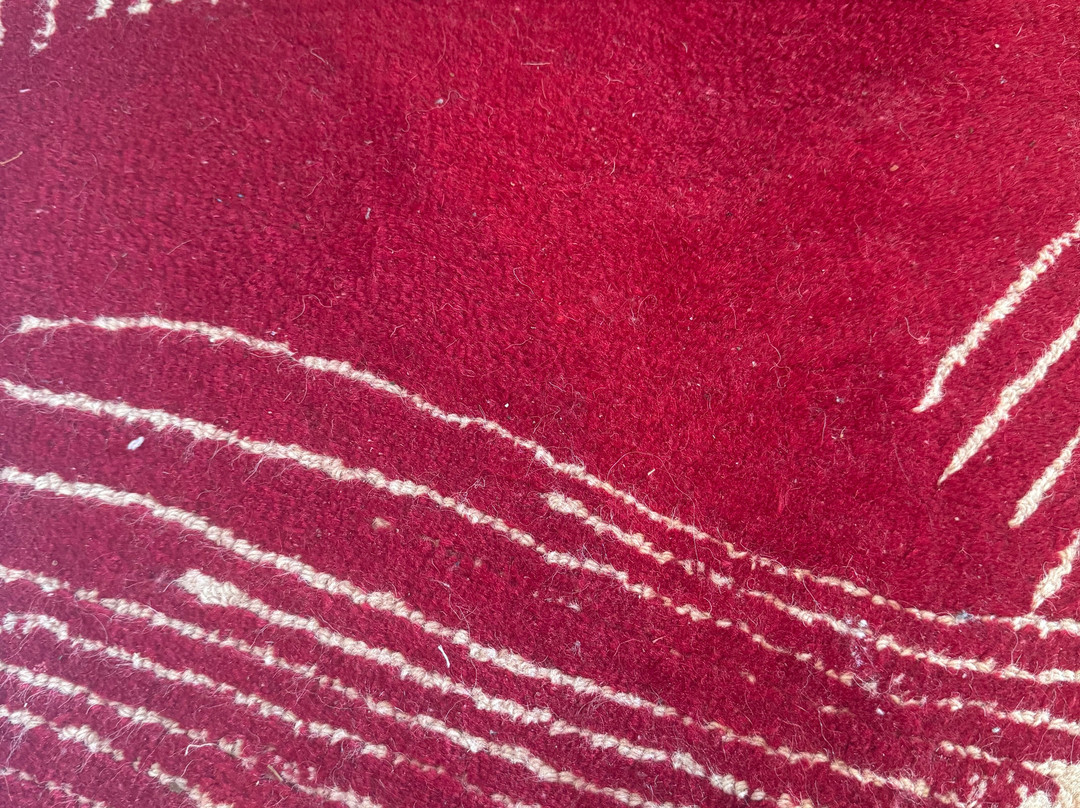 Regenta Place Phagwara主图