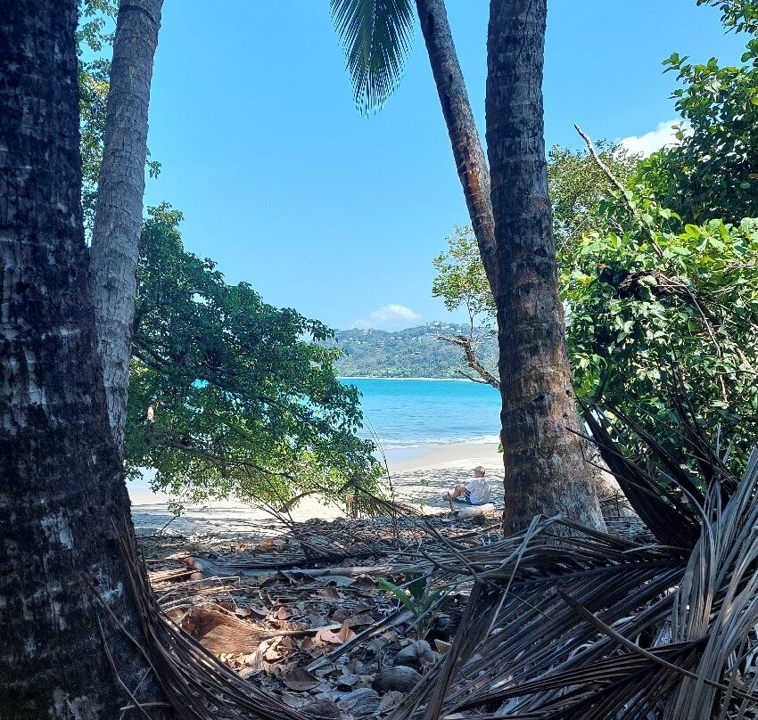 Manuel Antonio Expeditions景点图片