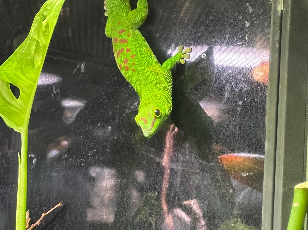 Akron Zoo-阿克伦必去景点