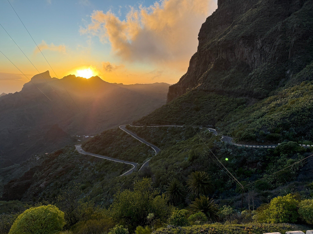 Feel Tenerife-圣克鲁斯-德特内里费必去景点
