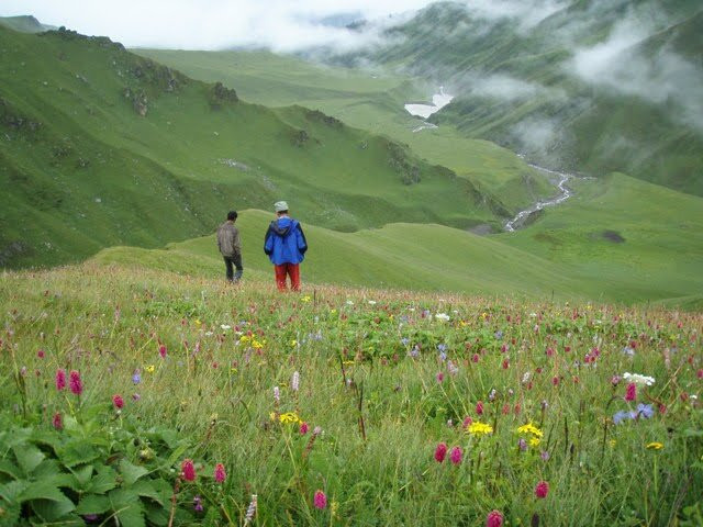 Dayara Bugyal Sarai主图