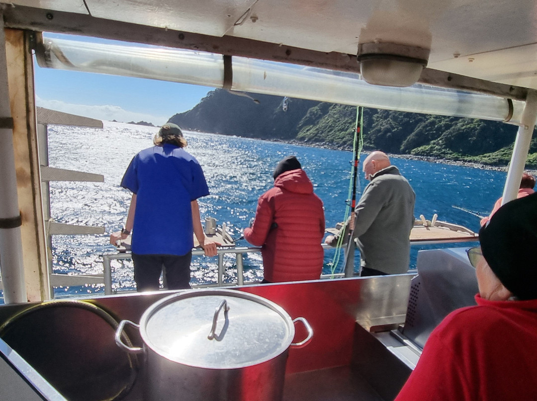 Fiordland Expeditions - Doubtful Sound Overnight Cruises & Multi Day Charters景点图片