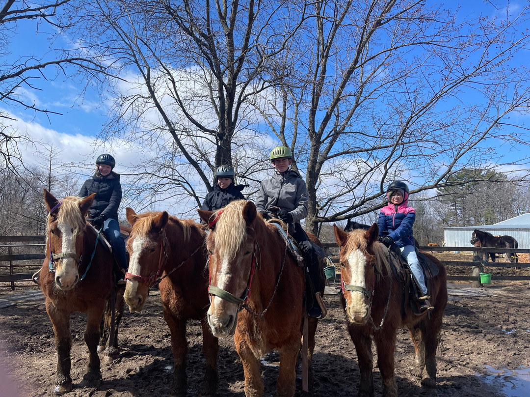 Red Ridge Riding Stable景点图片