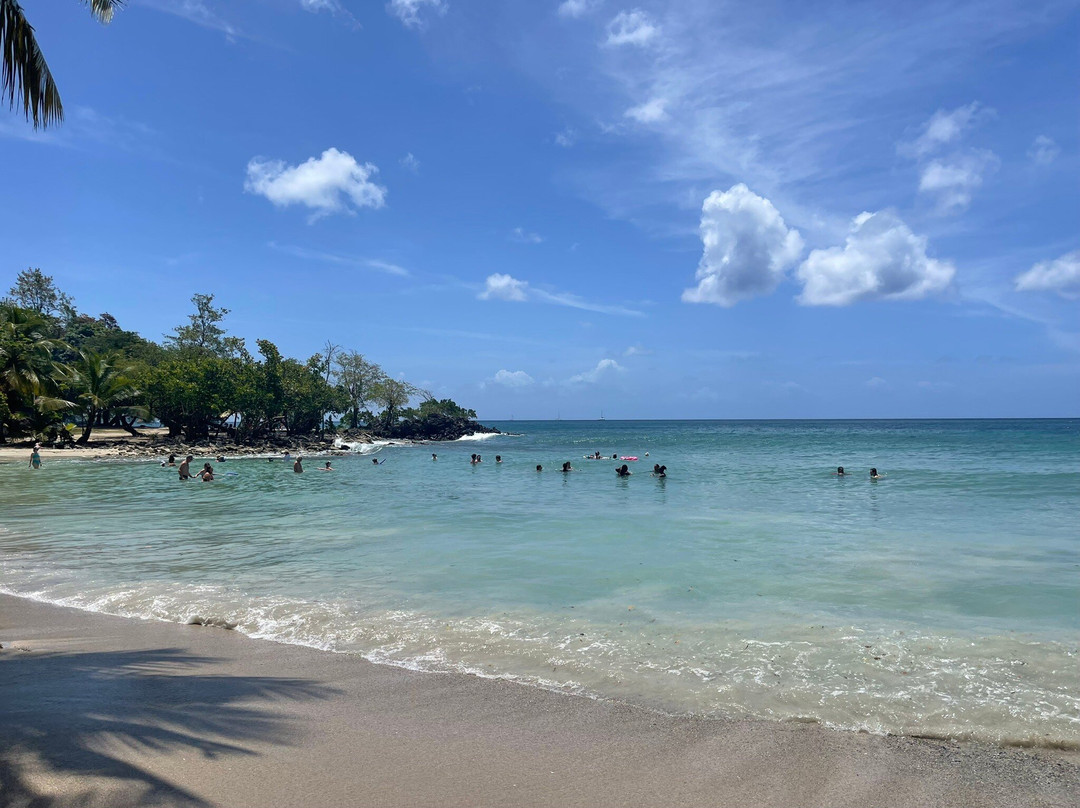 Anse Figuier-Riviere-Pilote必去景点