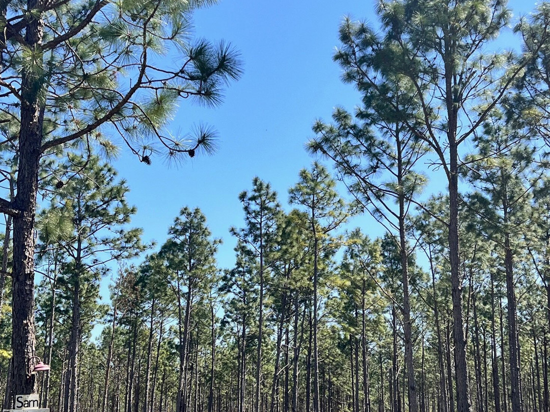White Oak Pastures-Bluffton必去景点