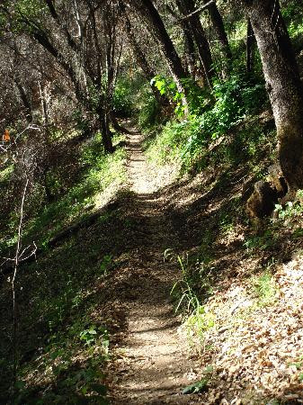 Tassajara Zen Mountain Center主图