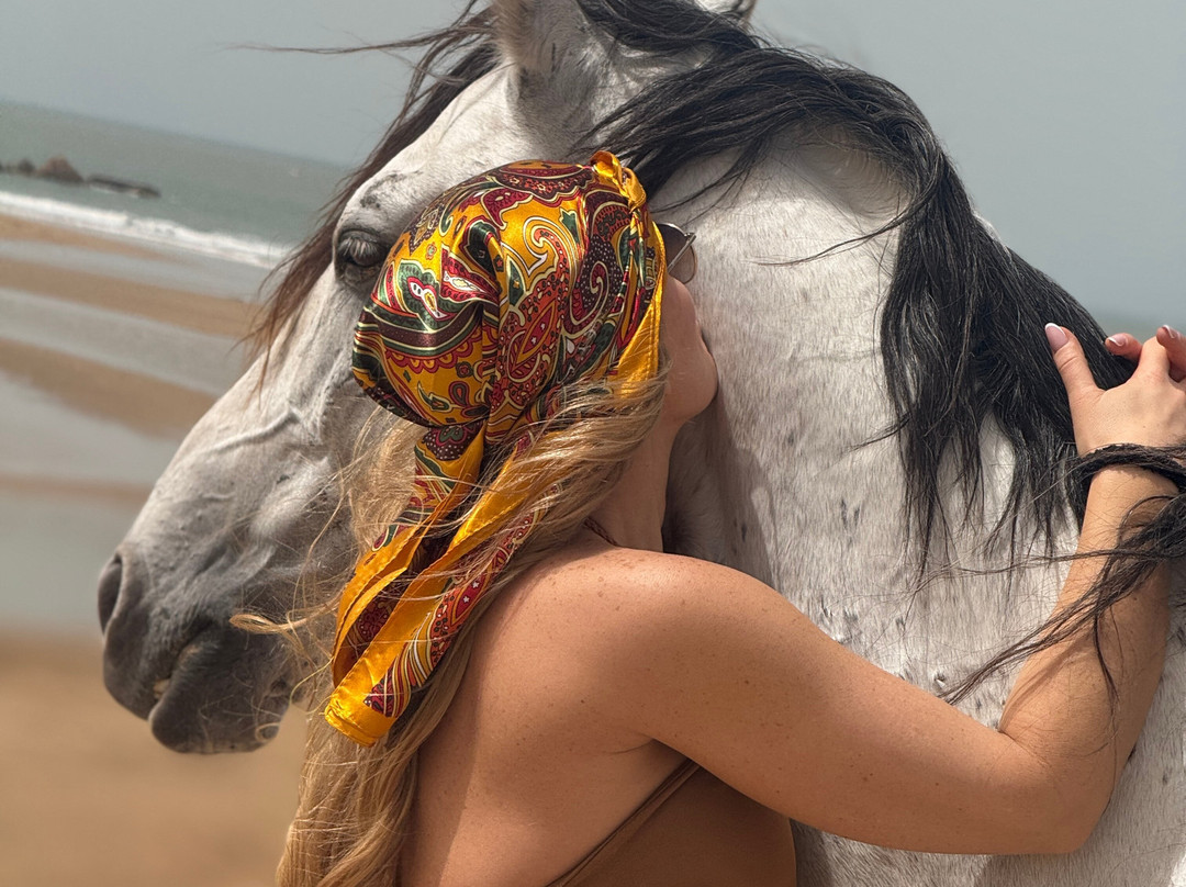 Ocean Ranch Essaouira-索维拉必去景点