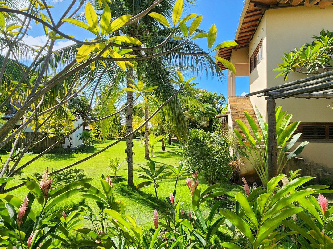 Ocacocar - Milagres主图