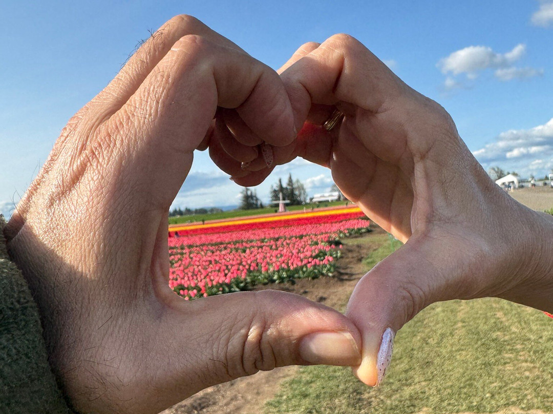 Wooden Shoe Tulip Farm景点图片