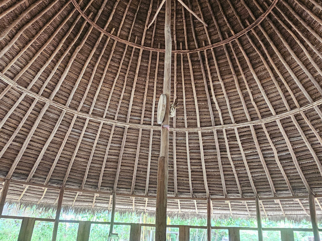 Psychonauta Foundation景点图片