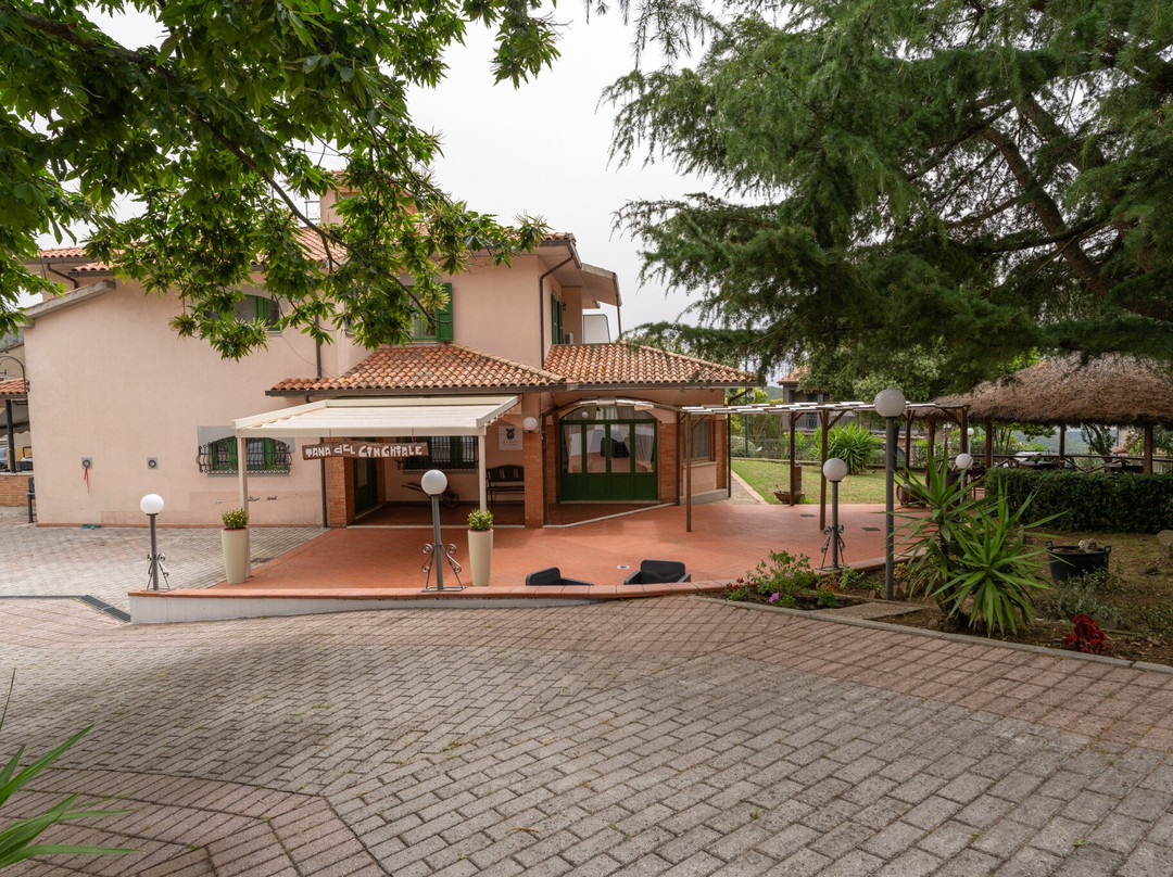 Tana Del Cinghiale Tirli