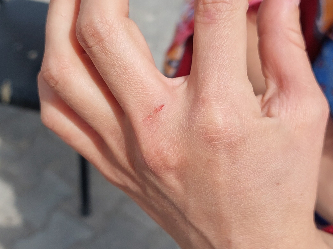 Reputation Travel Agency-格雷梅必去景点