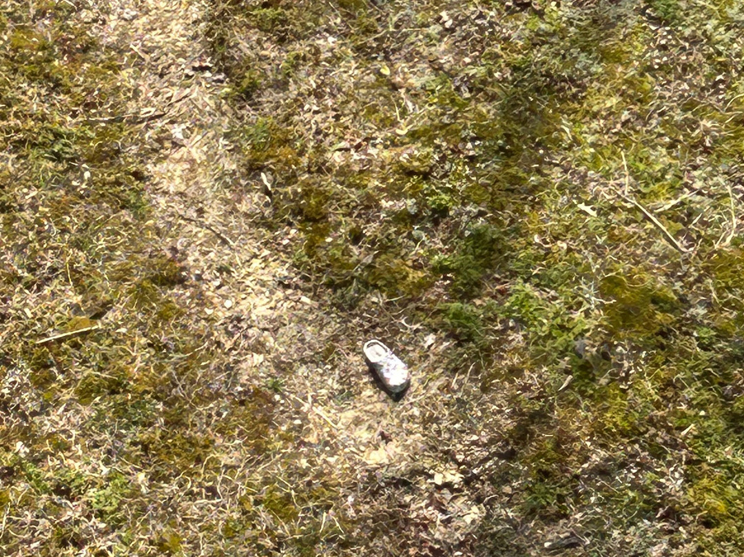 Natural Bridge Sky Lift Gift Shop-Slade必去景点