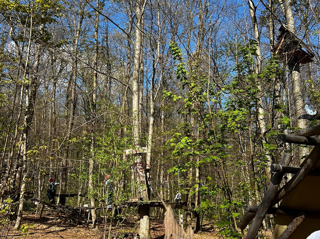 Kletterwald Neroberg-威斯巴登必去景点