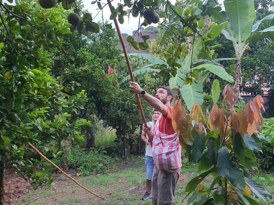 Maranura Tours-Maranura必去景点