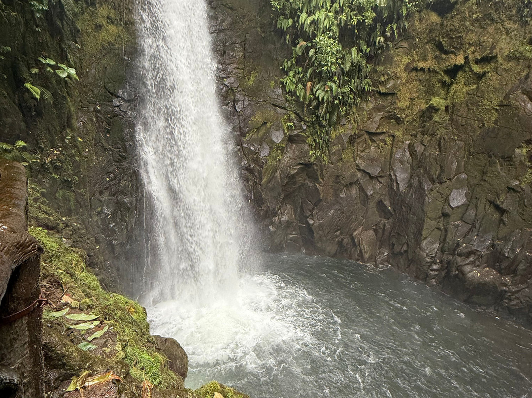 Tico Travel Adventures-圣何塞必去景点