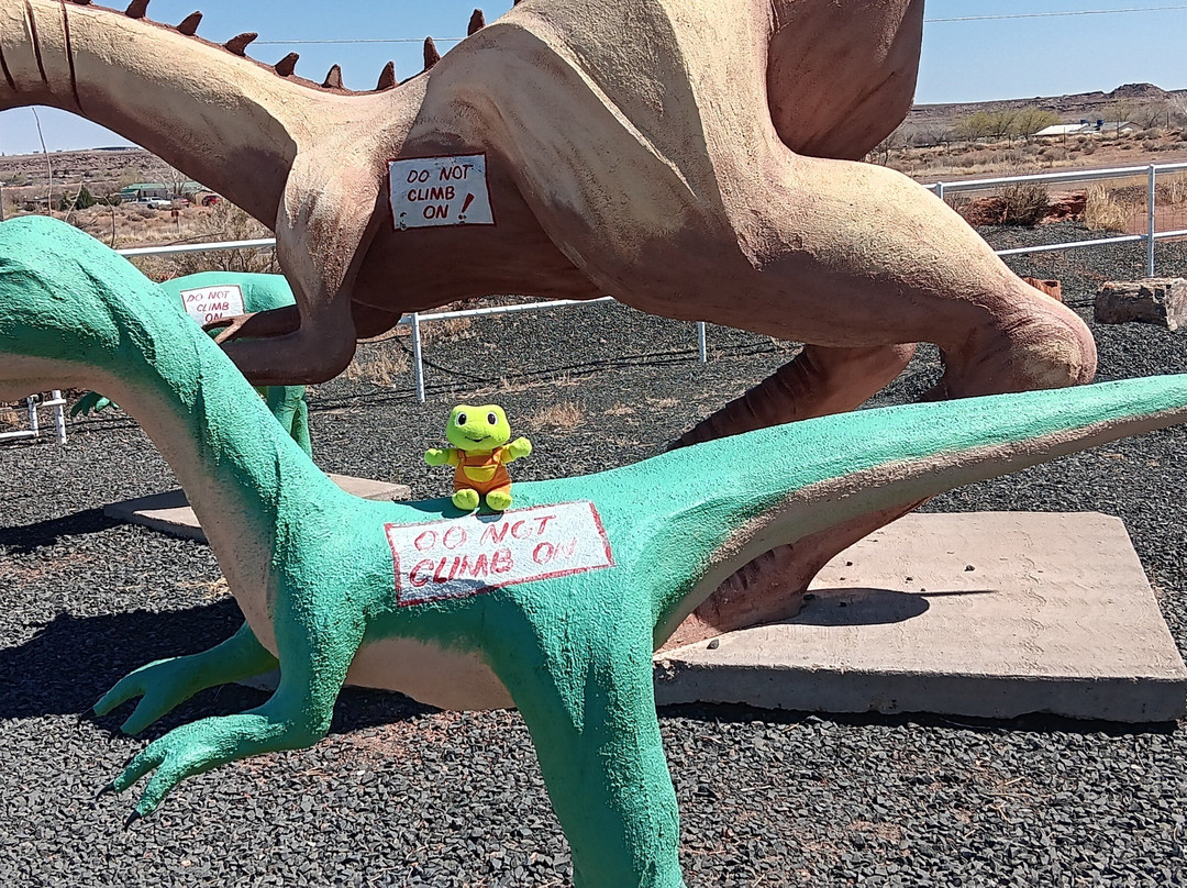 Jim Gray's Petrified Wood Co.-霍尔布鲁克必去景点