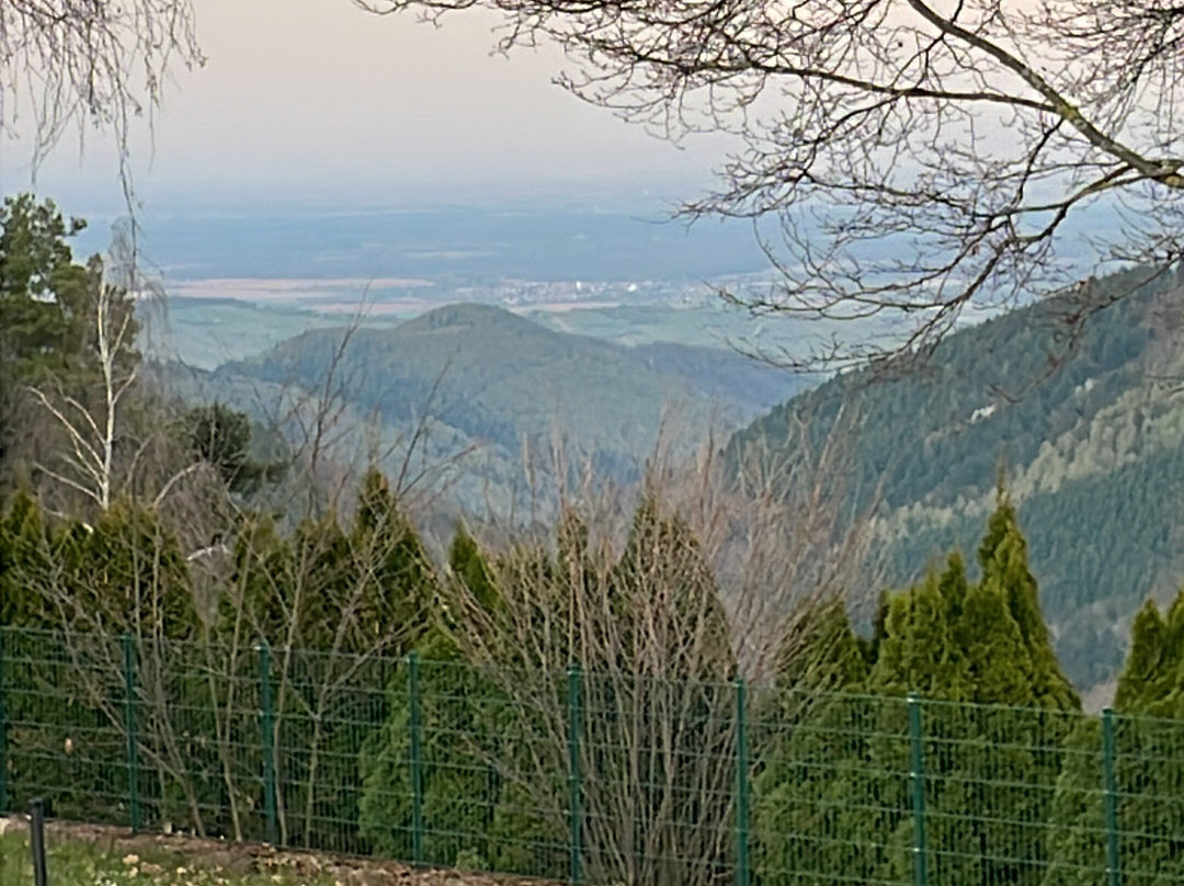 Hotel-Restaurant Au Tilleul主图