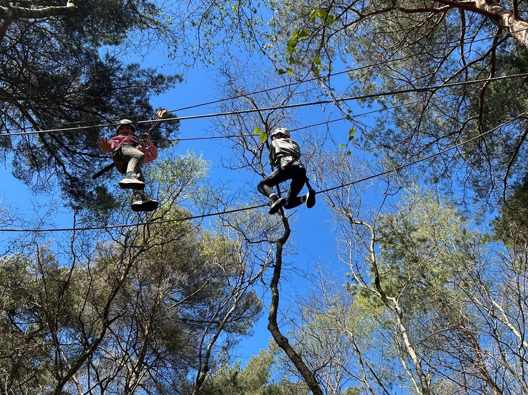 Wild Pines Park景点图片