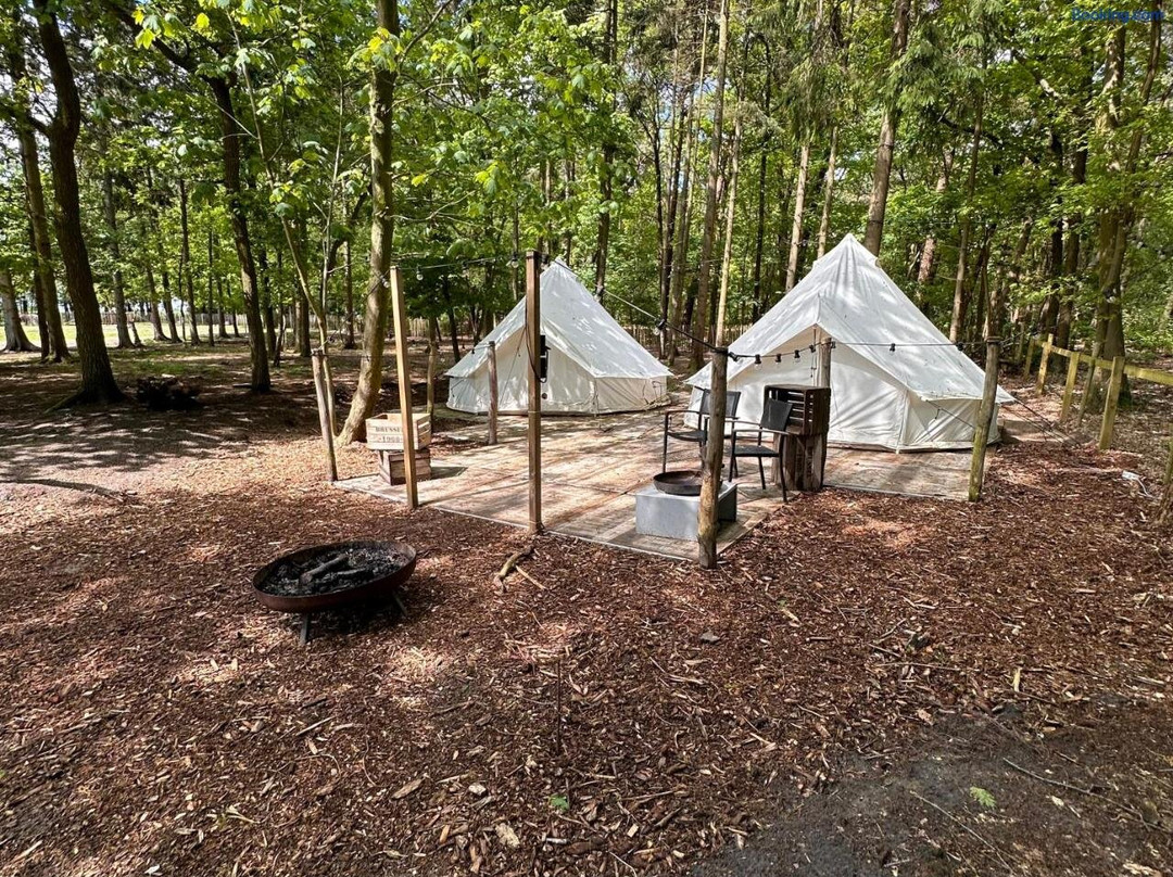 Prive Alpaca Glamping Hoogstraten